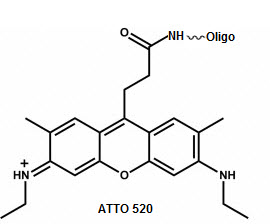 Bio-Synthesis Inc. Oligo Structure